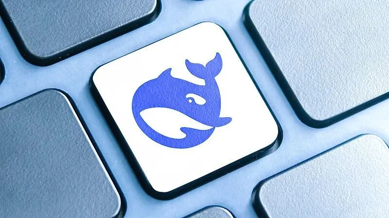 DeepSeek 数据吞吐流程